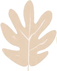 a white and beige leaf with a white background.jpg